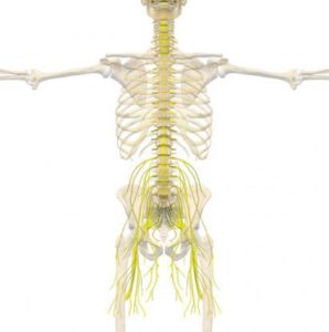 Neuropathic Pain